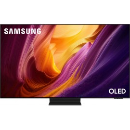 Samsung QE48S95H